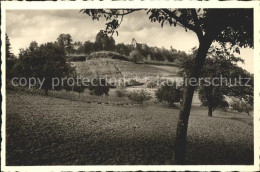 41780271 Emmendingen Ruine Hochburg Emmendingen - Emmendingen