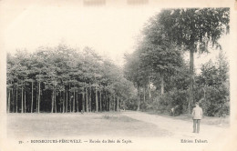 BELGIQUE - Péruwelz - Bonsecours - Entrée Du Bois De Sapin - Edition Delsart - Dos Non Divisé - Carte Postale Ancienne - Péruwelz