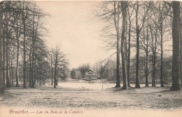 BELGIQUE - Bruxelles - Lac Du Bois De La Cambre - Carte Postale Ancienne - Autres & Non Classés