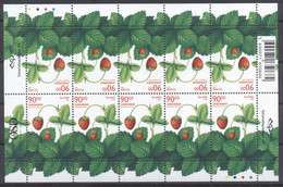 Iceland 2005 Berries Sheetlets MNH VF - Unused Stamps