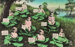 FANTAISIES - Des Bébés Dans Des Choux - Colorisé - Carte Postale Ancienne - Baby's