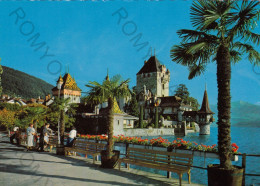 CARTOLINA  OBERHOFEN,BERNA,SVIZZERA-OBERHOFEN AM THUNERSEE.SCHLOSS-NON VIAGGIATA - Oberhofen Am Thunersee