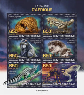 Centrafrica 2023, Animals, Monkey, Wild Dog, 6val In BF - Rodents