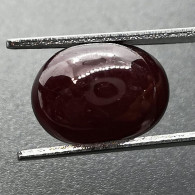 Rubis Traités (GF) De MADAGASCAR - Cabochon 6.45 Carats - Robijn