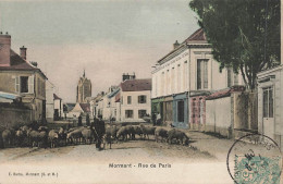 77 - SEINE ET MARNE - MORMANT - Rue De Paris - Colorisée, Berger Et Ses Moutons - 10874 - Mormant