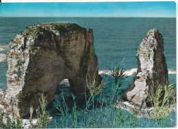 Lebanon Postcard Beirut Sent To Denmark 26-6-1961 (Pigeons Grotto) - Liban