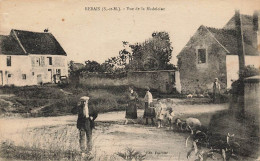 77 - SEINE ET MARNE - REBAIS - Vue De La Madeleine - Animation Champêtre - 10909 - Rebais