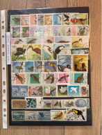 Thème Oiseaux Lot 10 - Verzamelingen, Voorwerpen & Reeksen