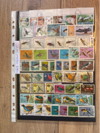 Thème Oiseaux Lot 12 - Collections, Lots & Séries