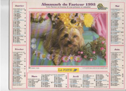 CALENDRIER ANNEE 1993, COMPLET, CHIEN ET CHATONS DANS SON PANIER REF 13762 - Grand Format : 1991-00