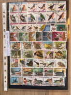 Thème Oiseaux Lot 17 - Collezioni & Lotti