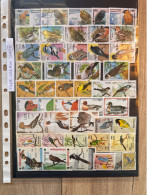 Thème Oiseaux Lot 19 - Collections, Lots & Séries