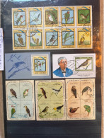 Thème Oiseaux Cuba Lot De Blocs Feuillets - Collections, Lots & Series