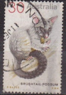 Marsupial - Trichosurus - AUSTRALIE - Faune, Animaux - N° 529 - 1974 - Usados