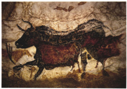 MONTIGNAC, LASCAUX, LE TAUREAU AU TRIDENT, PAINTING, CAVE, FRANCE, POSTCARD - Montignac-sur-Vézère