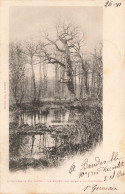 FRANCE - Saint Germain En Laye - La Forêt - Mare à La Douzaine - Carte Postale Ancienne - St. Germain En Laye