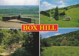 Box Hill, Surrey - Multiview  - Unused Postcard  - UK47 - Surrey