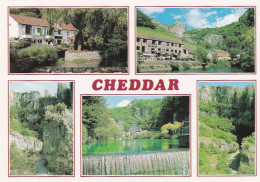Cheddar, Somerset - Multiview  - Unused Postcard  - UK47 - Cheddar