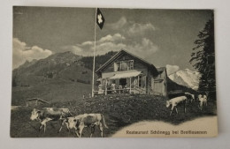 Restaurant Schönegg Bei Breitlauenen , BE, Interlaken, 1925 - Erlenbach Im Simmental