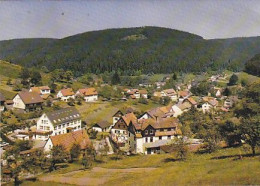 AK 192598 GERMANY - Enzerklösterle Bei Wildbad Im Schwarzwald - Hochschwarzwald