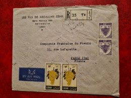 LETTRE LIBAN BEYROUTH A   LES FILS DE ABDALLAH ZEHIL POUR PARIS AVION EN RECOMMANDE BEYRUTH RP CHARGEMENTS 1957 RAISIN - Liban