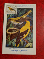 CARTE MAXIMUM 1960 OISEAU LORIOT JAUNE CACHET PRAHA - Briefe U. Dokumente