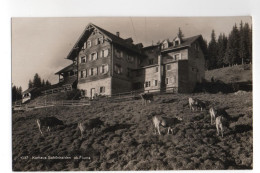 FLUMS Kurhaus Schönhalden Kühe - Flums