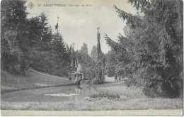 Sint-Truiden  - Saint-Trond   *  Une Vue Du Parc  (SBP, 19) - Sint-Truiden
