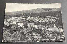 Cartolina Tonara (Nuoro) - Stazione Climatica - Panorama Parziale                                                        - Nuoro