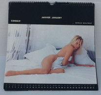 Calendrier 1994 ESTELLE HALLYDAY Dedicassée - Tamaño Grande : 1991-00