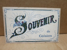 CERISIERS (89) Carte Fantaisie Souvenir Paillettes - Cerisiers