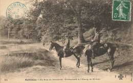 Le Plessis Robinson * Au Bois De Verrières , Promenade à L'étang De St Leu * âne Anes Donkey * + CACHET - Le Plessis Robinson