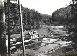 41768724 Altensteig Schwarzwald Gasthaus Kohlmuehle Forellenzucht Luftkurort Sch - Altensteig