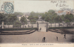 49. ANGERS .CPA COLORISEE.. JARDIN DU MAIL . VUE ORISE DE LA MAIRIE. ANNEE 1905 + TEXTE - Champtoceaux