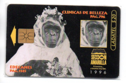 Guenon Clinicas Belleza -  Seccion Amarilla 1996 - Télécarte Mexique Phonecard  (R 827) - Mexique