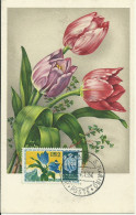 Carte Maximum - San Marino - Fleurs - Lettres & Documents