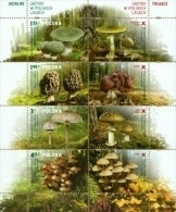 POLAND 2012 Mi. Bl. 210 Polish Mushrooms, Funghi, Nature, Sheet MNH ** - Neufs