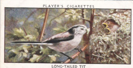 Wild Birds 1932 - Original Players Cigarette Card - 41 The Long Tailed Tit - Player's
