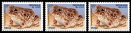 NIGER 2023 - SET 3V - FROGS FROG TOAD TOADS GRENOUILLES GRENOUILLE AMPHIBIANS AMPHIBIENS - MNH - Grenouilles