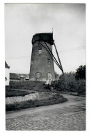 Lissewege  Brugge    FOTOKAART - MOEDERKAART Van De Uitgifte De Molen  Door Bobby Sint-Andries-Brugge  MOLEN MOULIN - Brugge