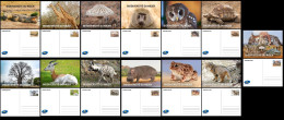 NIGER 2023 SET 13 STATIONERY CARD - FROGS TURTLES MONKEYS BAOBAB CROCODILE GIRAFFE MUSHROOMS OWLS CAT HIPPOPOTAMUS HYENA - Grenouilles