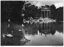 1951 CARTOLINA  ROMA - Parques & Jardines