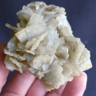 #Q - Wunderschöne BARYT Kristalle (Sa Corona E Sa Craba, Sardinien, Italien) - Minerals