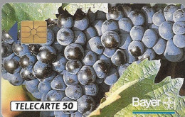 CARTE-PUCE-PRIVEE-PUBLIC-50U-GEMA-01/92-En304-BAYER-RAISIN-V° N° Série B1C254-R°Mat-Utilisé-TBE-/RARE - 50 Unità  