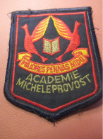 Ecusson Tissu Brodé/Etablissement Scolaire/Majores Pennas Nido/Académie Michèle PROVOST /Québec /vers 2000-2010    ET630 - Patches