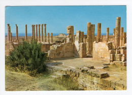 1981. LIBYA,BENGAZI TO BELGRADE,YUGOSLAVIA,APOLLONIA POSTCARD,USED - Libia