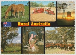 Australia NEW SOUTH WALES NSW Tractor Windmill Horses Sheep Shearing Greetings From SCONE NCV Postcard C1980s - Autres & Non Classés