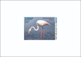 NIGER 2023 - DELUXE PROOF - FLAMANT FLAMANTS FLAMINGO FLAMINGOS - BIRDS OISEAUX - Flamingo's