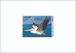 NIGER 2023 - DELUXE PROOF- PELICAN PELICANS - BIRDS OISEAUX - Pelícanos