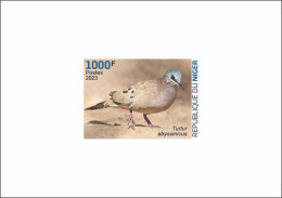 NIGER 2023 - DELUXE PROOF - DOVES DOVE PIGEON PIGEONS - BIRDS OISEAUX - Columbiformes